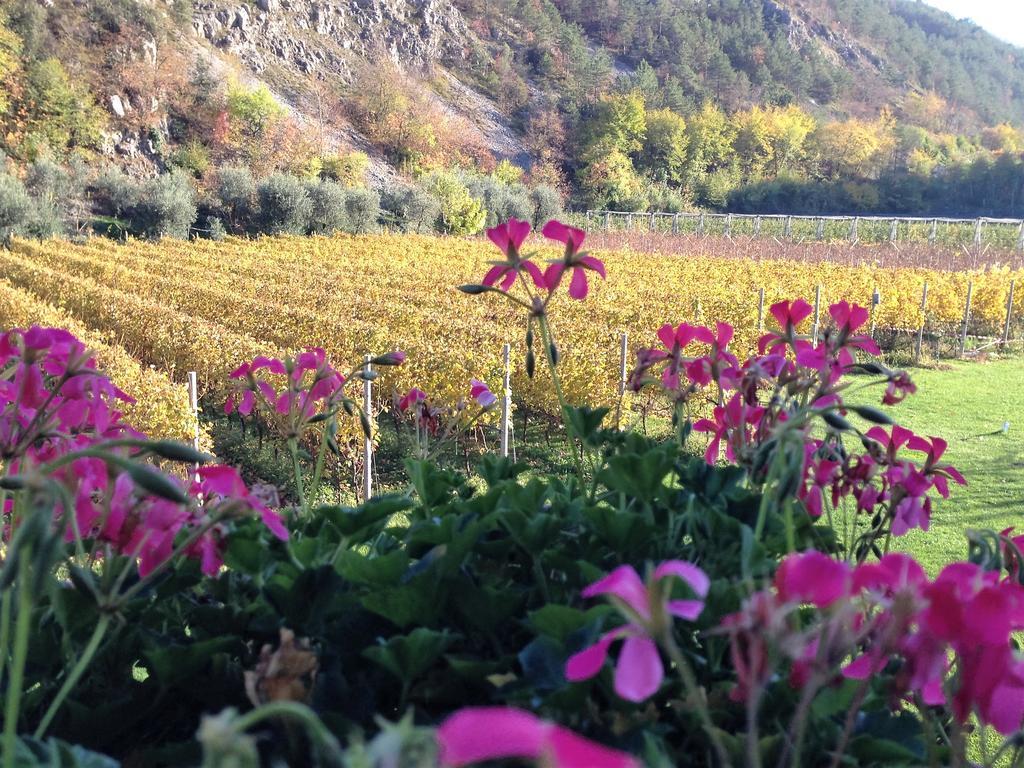 Agritur Ai Masi Βίλα Pergolese Εξωτερικό φωτογραφία