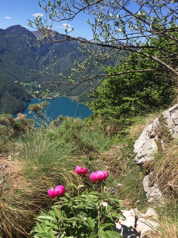 Agritur Ai Masi Βίλα Pergolese Εξωτερικό φωτογραφία